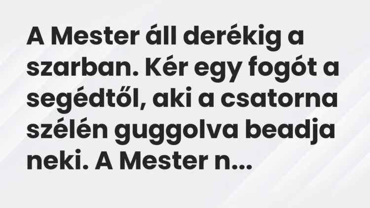 Vicc: A Mester áll derékig a szarban. Kér egy fogót a segédtől, aki a… Vicc: A Mester áll derékig a szarban. Kér egy fogót a segédtől, aki a…
