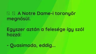 Vicc: 
	    	    A Notre Dame-i toronyőr megnősül.


Egyszer aztán a…