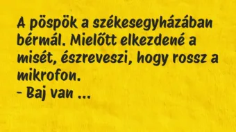 Vicc: A pöspök a székesegyházában bérmál. Mielőtt elkezdené a misét,…