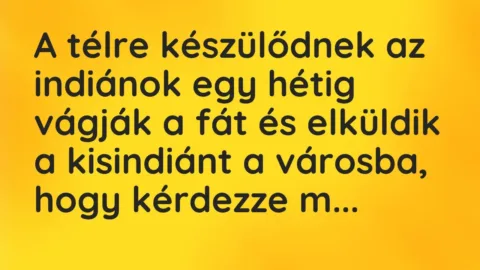 Vicc: A télre készülődnek az indiánok egy hétig vágják a fát és elküldik a… Vicc: A télre készülődnek az indiánok egy hétig vágják a fát és elküldik a…
