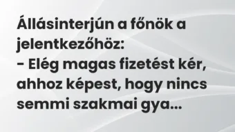 Vicc: Állásinterjún a főnök a jelentkezőhöz:

– Elég magas fizetést kér,…