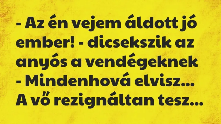 Vicc: – Az én vejem áldott jó ember! – dicsekszik az anyós a vendégeknek -… Vicc: – Az én vejem áldott jó ember! – dicsekszik az anyós a vendégeknek -…