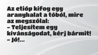 Vicc: Az etióp kifog egy aranyhalat a tóból, mire az megszólal:

-…