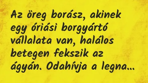 Vicc: Az öreg borász, akinek egy óriási borgyártó vállalata van, halálos… Vicc: Az öreg borász, akinek egy óriási borgyártó vállalata van, halálos…