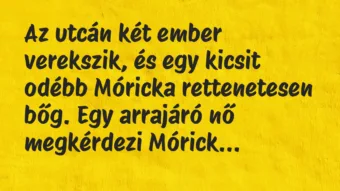 Vicc: Az utcán két ember verekszik, és egy kicsit odébb Móricka rettenetesen…