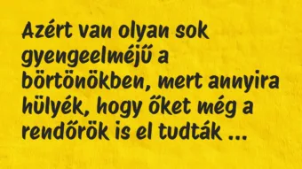 Vicc: Azért van olyan sok gyengeelméjű a börtönökben, mert annyira hülyék,…