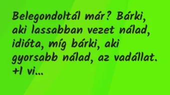 Vicc: Belegondoltál már? Bárki, aki lassabban vezet nálad, idióta, míg…