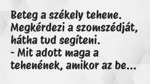 Vicc: Beteg a székely tehene. Megkérdezi a szomszédját, hátha tud…