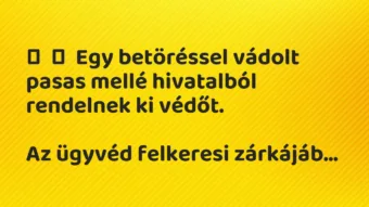 Vicc:
Egy betöréssel vádolt pasas mellé hivatalból rendelnek ki… Vicc:
Egy betöréssel vádolt pasas mellé hivatalból rendelnek ki…