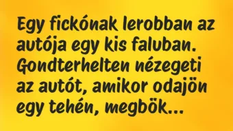 Vicc: Egy fickónak lerobban az autója egy kis faluban. Gondterhelten…