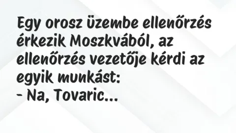 Vicc: Egy orosz üzembe ellenőrzés érkezik Moszkvából, az ellenőrzés vezetője… Vicc: Egy orosz üzembe ellenőrzés érkezik Moszkvából, az ellenőrzés vezetője…