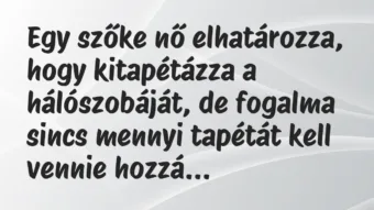 Vicc: Egy szőke nő elhatározza, hogy kitapétázza a hálószobáját, de fogalma…