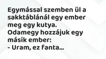 Vicc: Egymással szemben ül a sakktáblánál egy ember meg egy… Vicc: Egymással szemben ül a sakktáblánál egy ember meg egy…