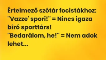 Vicc: Értelmező szótár focistákhoz:

„Vazze’ spori!” = Nincs igaza bíró…
