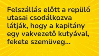 Vicc: Felszállás előtt a repülő utasai csodálkozva látják, hogy a kapitány…
