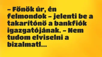 Vicc: – Főnök úr, én felmondok – jelenti be a takarítónő a bankfiók… Vicc: – Főnök úr, én felmondok – jelenti be a takarítónő a bankfiók…