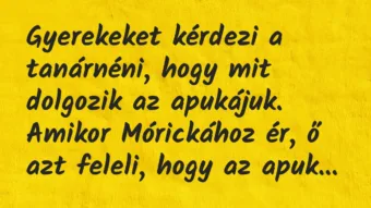 Vicc: Gyerekeket kérdezi a tanárnéni, hogy mit dolgozik az…