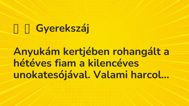Vicc:
Gyerekszáj
Anyukám kertjében rohangált a hétéves fiam… Vicc:
Gyerekszáj
Anyukám kertjében rohangált a hétéves fiam…