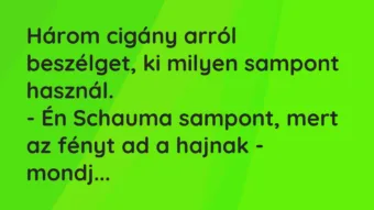 Vicc: Három cigány arról beszélget, ki milyen sampont használ.
– Én… Vicc: Három cigány arról beszélget, ki milyen sampont használ.
– Én…