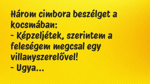 Vicc: Három cimbora beszélget a kocsmában:

– Képzeljétek, szerintem a…
