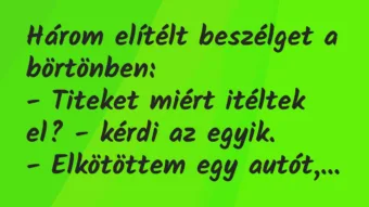 Vicc: Három elítélt beszélget a börtönben:

– Titeket miért itéltek el?…