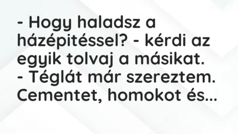 Vicc: – Hogy haladsz a házépitéssel? – kérdi az egyik tolvaj a… Vicc: – Hogy haladsz a házépitéssel? – kérdi az egyik tolvaj a…