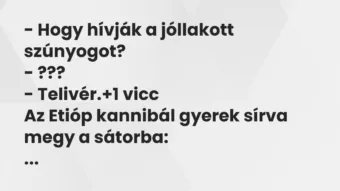 Vicc: – Hogy hívják a jóllakott szúnyogot?
– ???
– Telivér. Vicc: – Hogy hívják a jóllakott szúnyogot?
– ???
– Telivér.