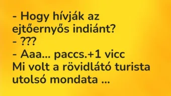 Vicc: – Hogy hívják az ejtőernyős indiánt?

– ???

– Aaa… paccs.
