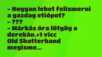 Vicc: – Hogyan lehet felismerni a gazdag etiópot?

– ???

– Márkás…