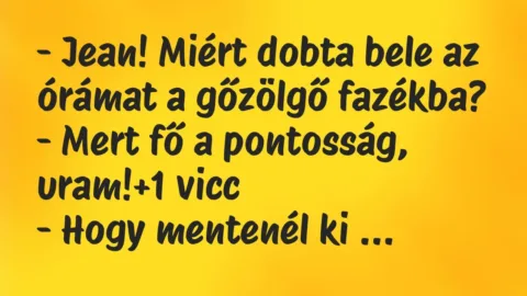 Vicc: – Jean! Miért dobta bele az órámat a gőzölgő fazékba?

– Mert fő a…