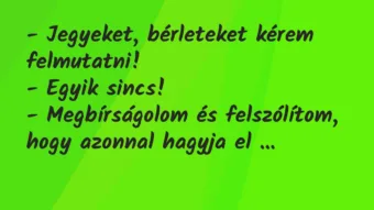 Vicc: – Jegyeket, bérleteket kérem felmutatni!

– Egyik sincs!

-…