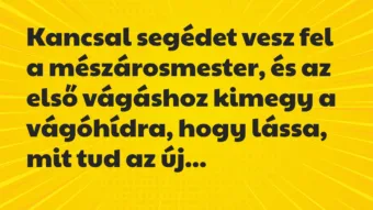 Vicc: Kancsal segédet vesz fel a mészárosmester, és az első vágáshoz kimegy…