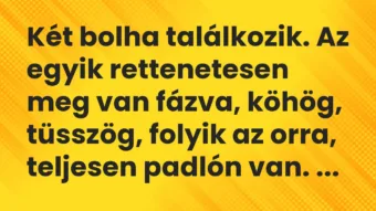 Vicc: Két bolha találkozik. Az egyik rettenetesen meg van fázva, köhög,…
