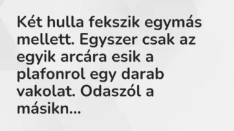 Vicc: Két hulla fekszik egymás mellett. Egyszer csak az egyik arcára esik a…