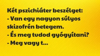 Vicc: Két pszichiáter beszélget:

– Van egy nagyon súlyos skizofrén…