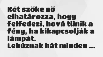 Vicc: Két szőke nő elhatározza, hogy felfedezi, hová tűnik a fény, ha… Vicc: Két szőke nő elhatározza, hogy felfedezi, hová tűnik a fény, ha…
