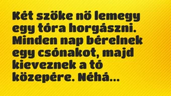 Vicc: Két szőke nő lemegy egy tóra horgászni. Minden nap bérelnek egy csónak…