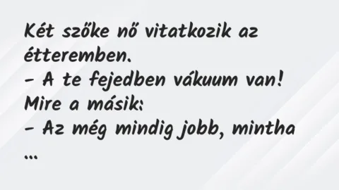 Vicc: Két szőke nő vitatkozik az étteremben.

– A te fejedben vákuum…