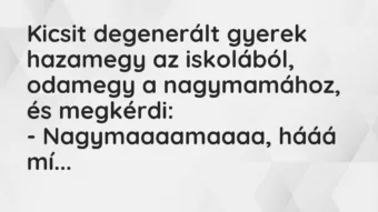 Vicc: Kicsit degenerált gyerek hazamegy az iskolából, odamegy a nagymamához,… Vicc: Kicsit degenerált gyerek hazamegy az iskolából, odamegy a nagymamához,…
