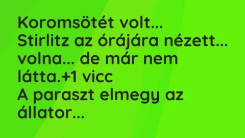 Vicc: Koromsötét volt…
Stirlitz az órájára nézett… volna… de már… Vicc: Koromsötét volt…
Stirlitz az órájára nézett… volna… de már…