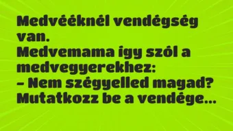 Vicc: Medvééknél vendégség van.

Medvemama így szól a…