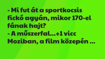 Vicc: – Mi fut át a sportkocsis fickó agyán, mikor 170-el fának hajt?

-…