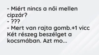 Vicc: – Miért nincs a női mellen cipzár?

– ???

– Mert van rajta…