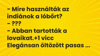 Vicc: – Mire használták az indiánok a lóbőrt?

– ???

– Abban…