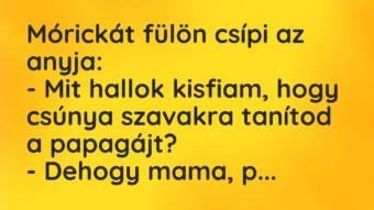 Vicc: Mórickát fülön csípi az anyja:

– Mit hallok kisfiam, hogy csúnya…
