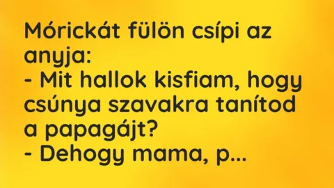 Vicc: Mórickát fülön csípi az anyja:

– Mit hallok kisfiam, hogy csúnya…