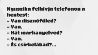 Vicc: Nyuszika felhívja telefonon a hentest:

– Van disznófüled?

-…