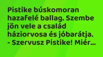 Vicc: Pistike búskomoran hazafelé ballag. Szembe jön vele a család…