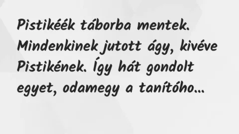 Vicc: Pistikéék táborba mentek. Mindenkinek jutott ágy, kivéve Pistikének…. Vicc: Pistikéék táborba mentek. Mindenkinek jutott ágy, kivéve Pistikének….