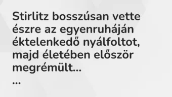 Vicc: Stirlitz bosszúsan vette észre az egyenruháján éktelenkedő nyálfoltot,…